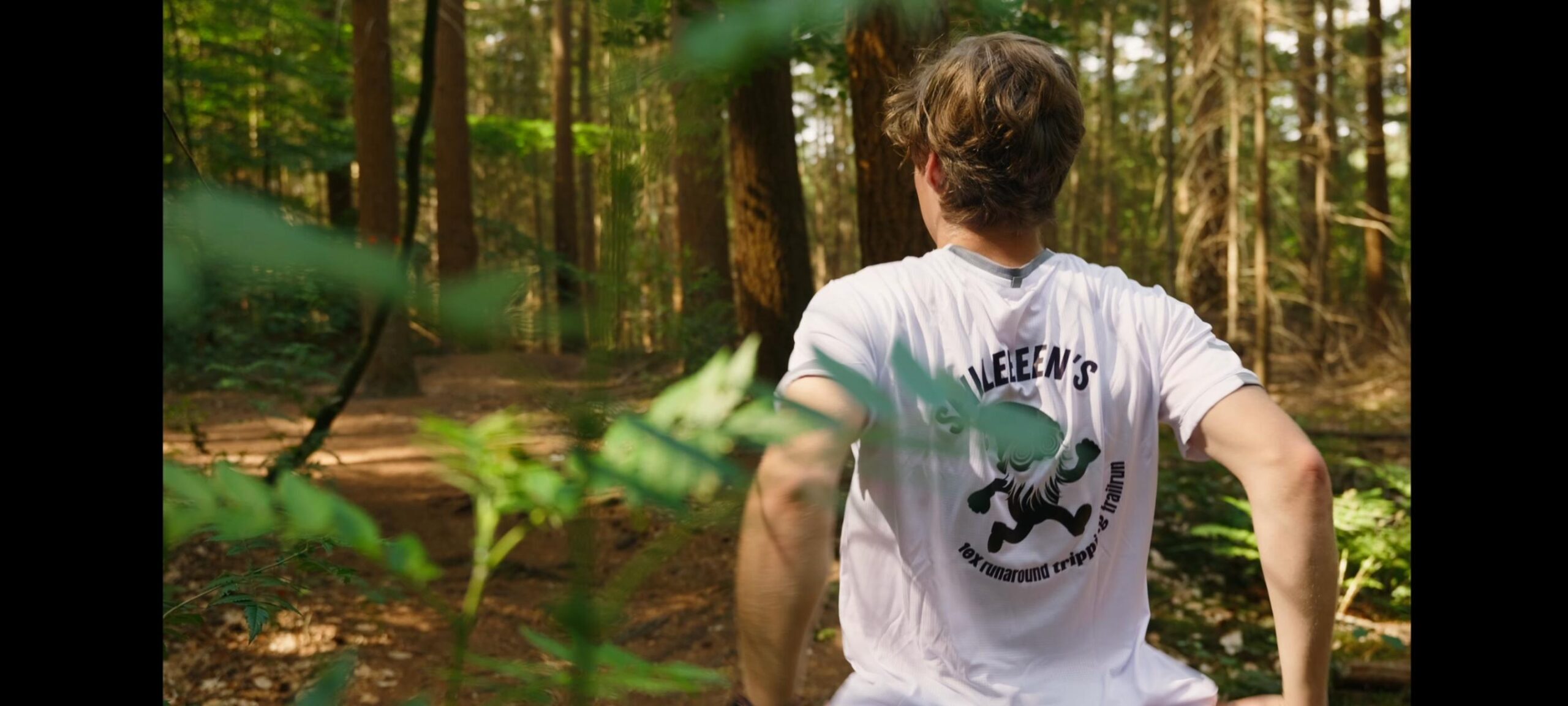 Spillebeen afbeelding